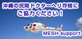 MESH suppot