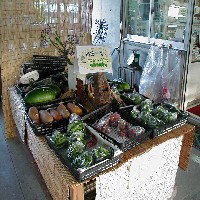 �c�����������X�̖�؃R�[�i�[