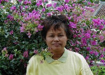 �n���T�[�̂��ꂳ��