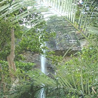 �X�̉��Ɍ�����̂̓s�i�C�T�[��