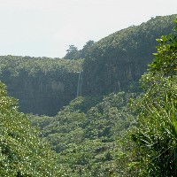 �܂��������Ă��Ȃ�������������̂łͥ��