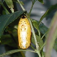 �I�I�S�}�_�����