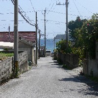 �����ǂ̗����ł��B