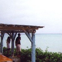 ���܂���Y��ȊC�Ɍ��Ƃ�Ă��܂��܂����B