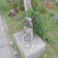 �c������̃����V�[�T�[