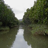 �}���O���[�u��