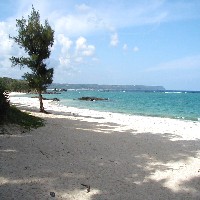 ������ް�