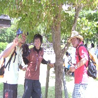 ���񁕂䂤���Ђ�