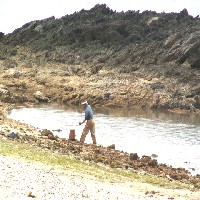 ���R�Ƃ̋����u�������v