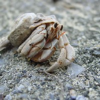 �����I�J���h�J���ł��I