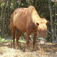 �w�݂������q��x�̉����n