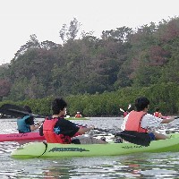 ���ʂ�����l�ɐi�ރJ�k�[