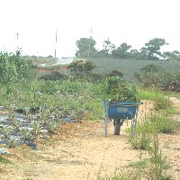 �W�߂��G������֎ԂɁc