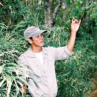 �V���P���C������Ў�ɐ�����