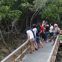 �ؓ�����̎��R�ώ@