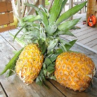 �g�D�|�ς���