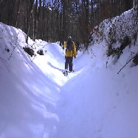 �g���[�j���O��